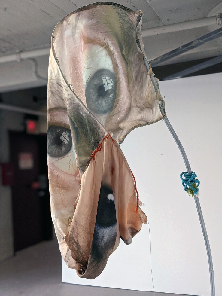 Brian Zegeer artwork