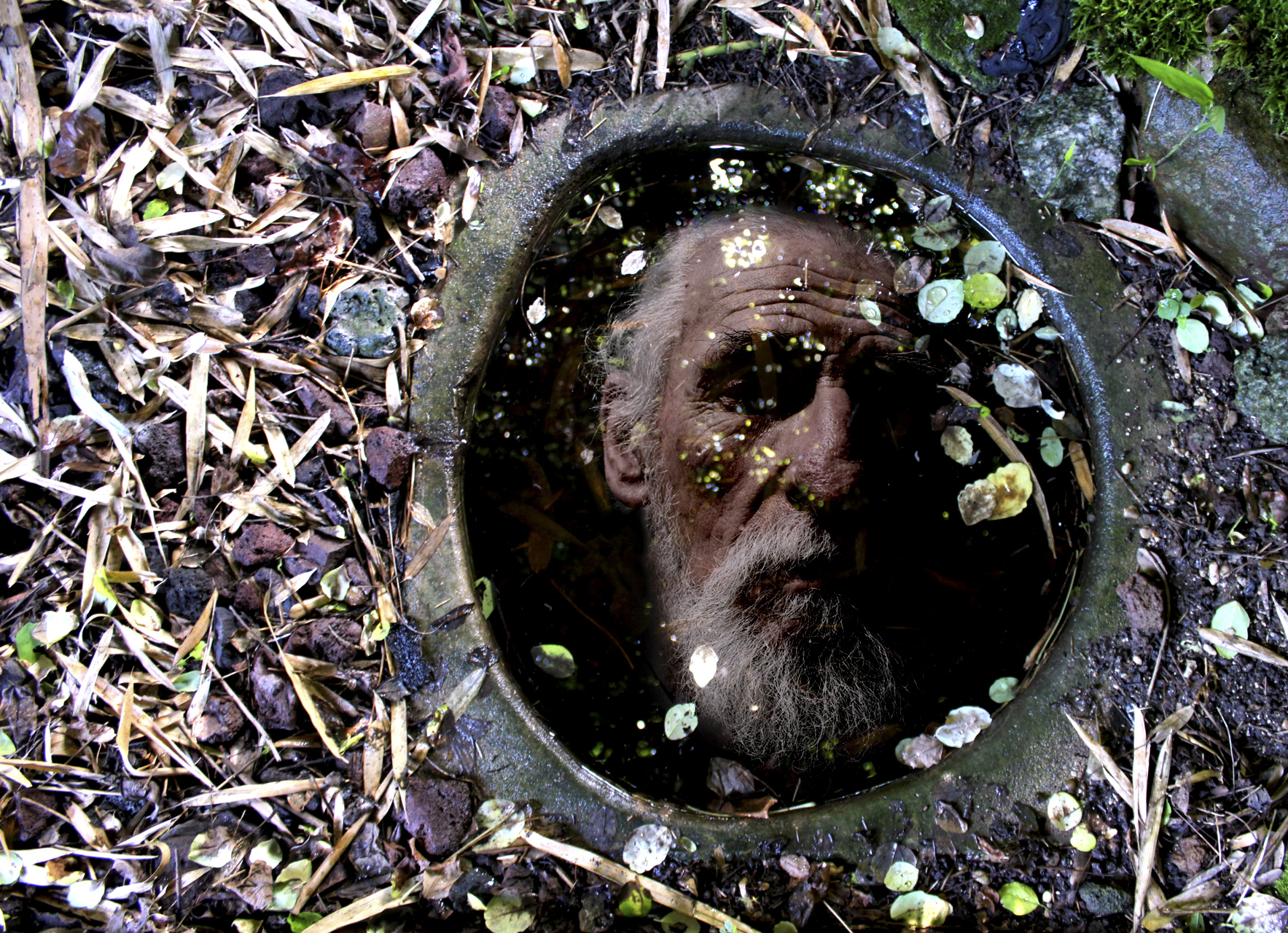 Adrian, idea by Paula and photo by Paula